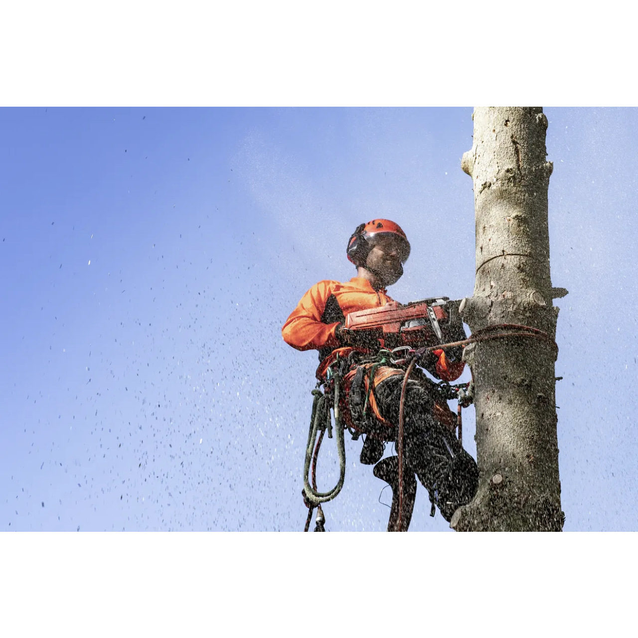 44972-1_Husqvarna_967690635