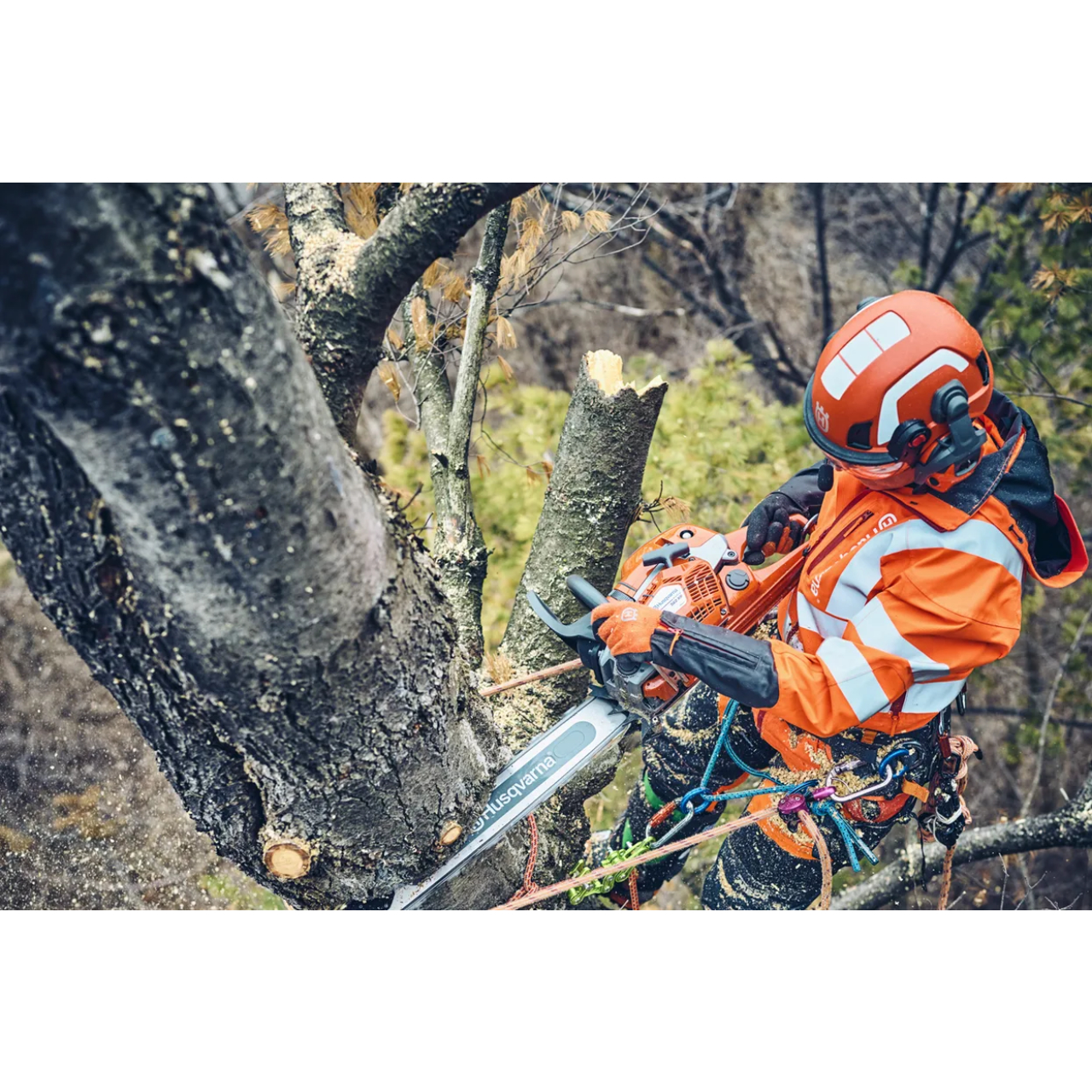 43449-1_Husqvarna_970656915